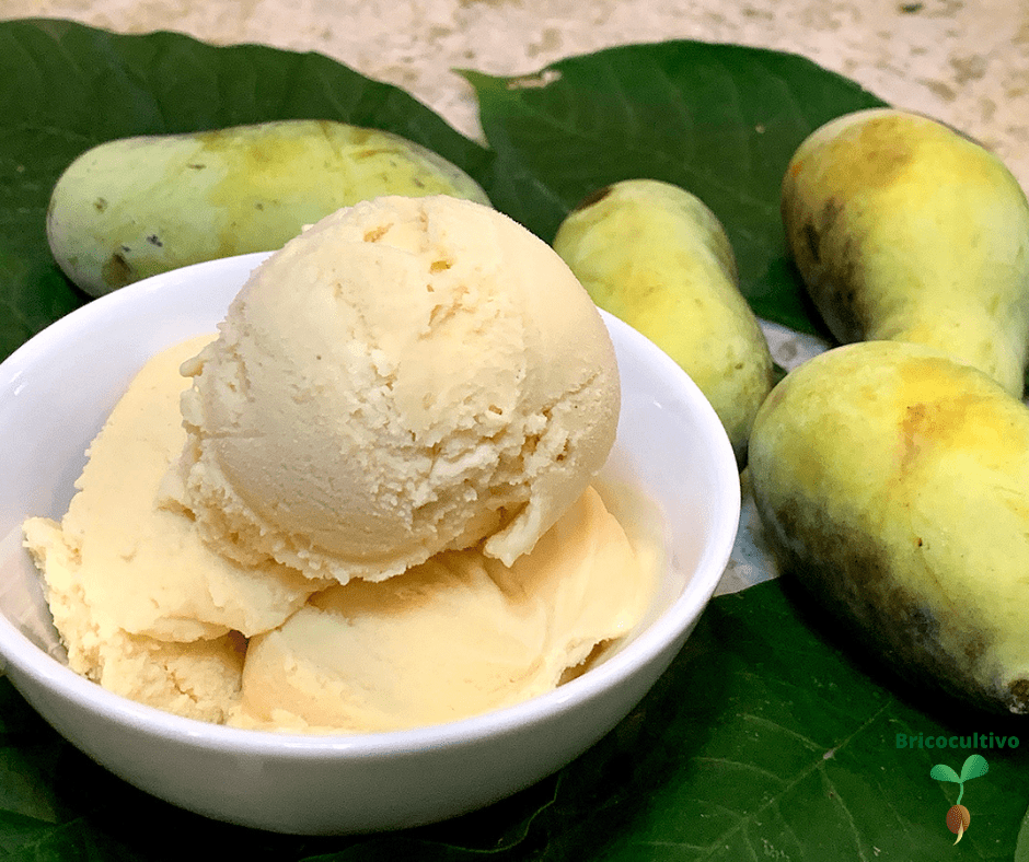 Delicioso helado de pawpaw, la fruta tropical que resiste al frio