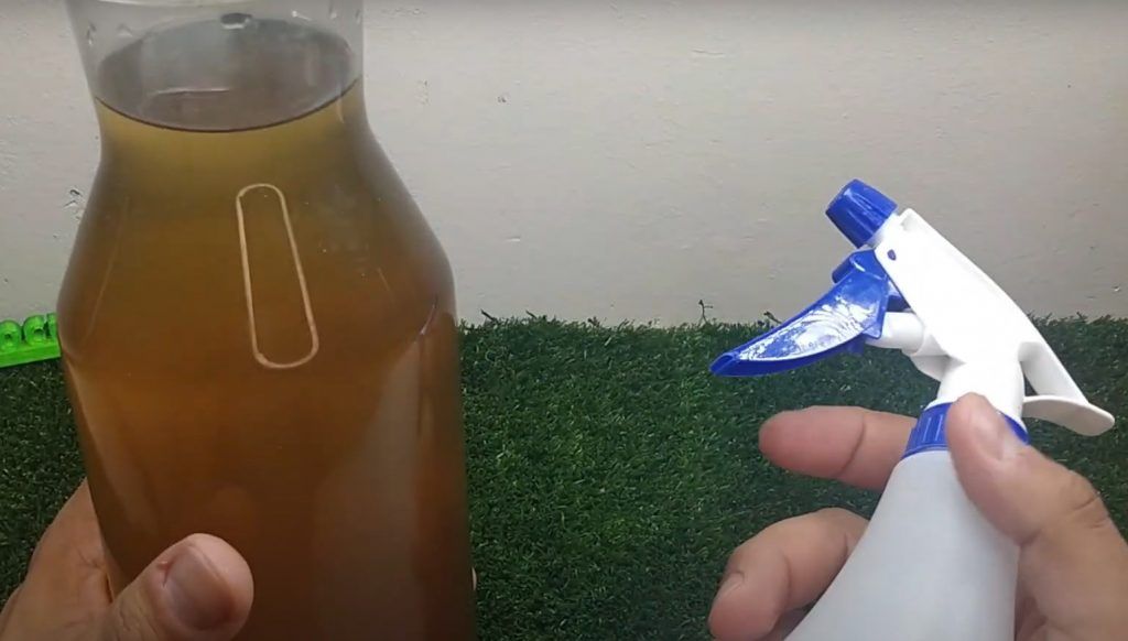 como hacer el mejor repelente casero para avispas
