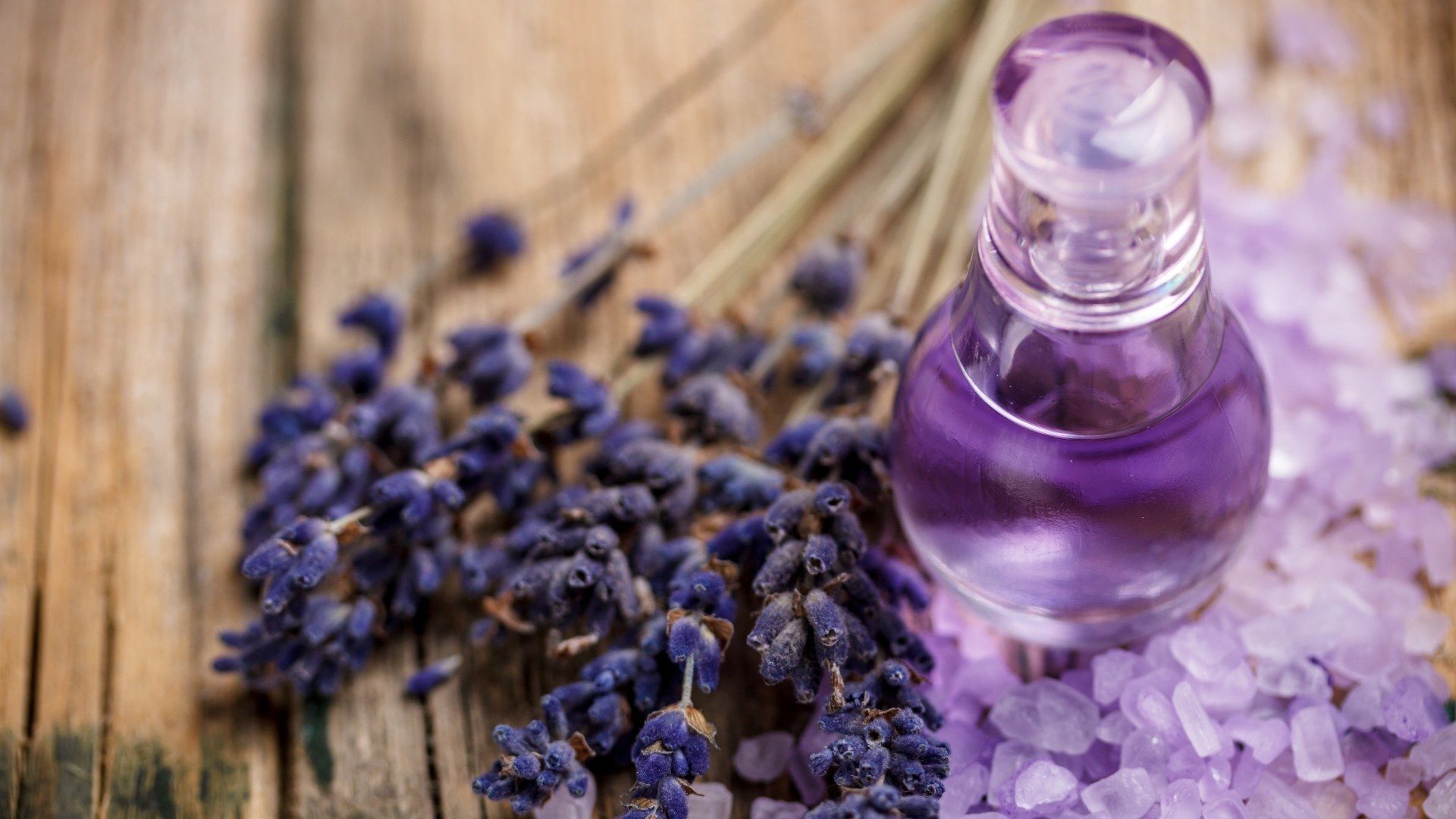 usos de la lavanda