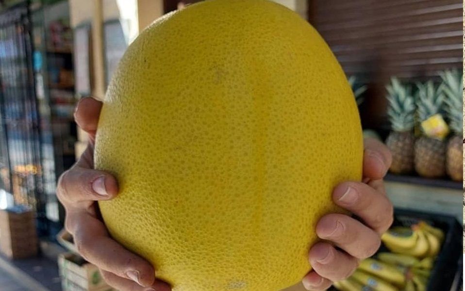 pomelo chino